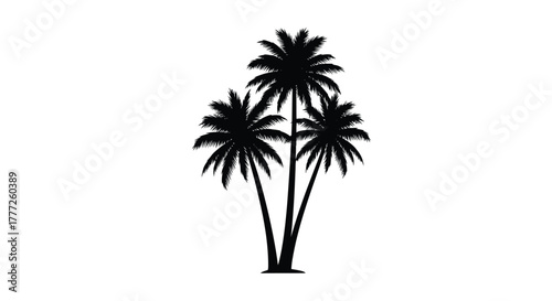 Silhouette of three palm trees tropical illustration isolated on white background for travel and vacation designs