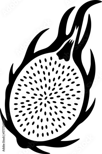 Silhouette of dragon fruit illustration 