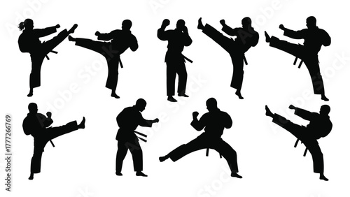 Martial arts silhouettes set isolated on white background, Vector