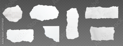 Torn notebook paper cutout set with ripped edges on transparent background. White checkered and lined sheet fragments in various shapes. Realistic note scraps for message, reminder or scrapbook design