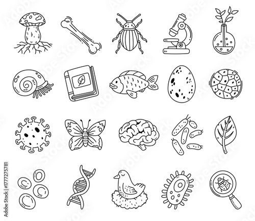 Biology set in outline line art showing mushroom, bone, beetle, microscope, flask, shell, book, fish, egg, cells, virus, butterfly, brain, bacteria, leaf