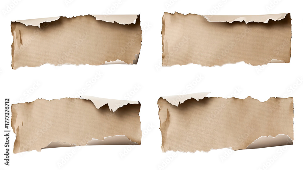 Fototapeta premium Ripped paper torn into strips showing rough edges and textured surface perfect for design or craft use isolated on white background