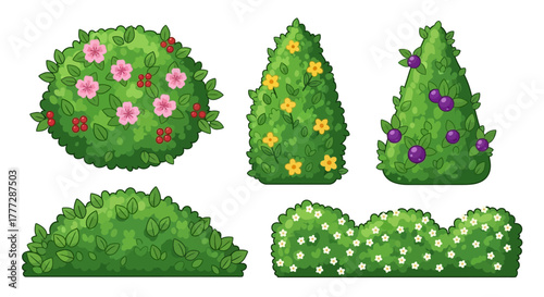 Collection of cartoon garden bushes and hedges with flowers and berries. Vector illustration set for game design or landscape elements