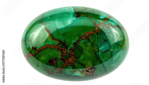 Polished green malachite cabochon with brown veins and swirls