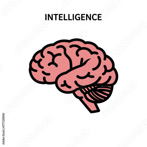 Anatomical Brain Illustration - Pink Cerebral Organ with Black Outline, Detailed Structure.