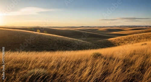 Vast golden grasslands roll under a warm, late-day sun, creating a serene, expansive landscape
