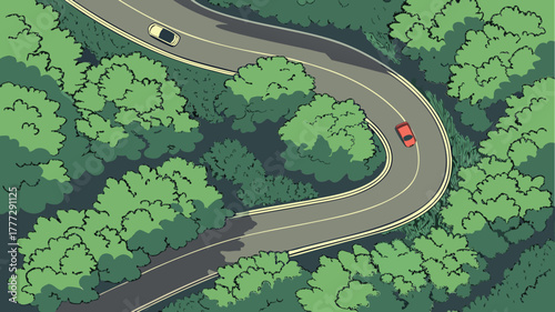Aerial View of Winding Road in Lush Green Forest - Top Down Illustration