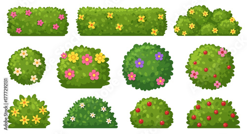 Colorful Cartoon Bushes and Hedges Collection Floral Elements for Garden Designs and Illustrations