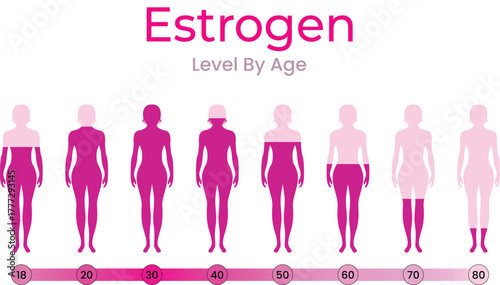 Estrogen Levels Throughout a Woman's Life by Age