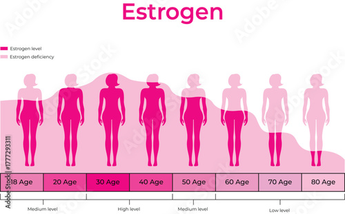 Female Estrogen Levels Across Different Age Groups Infographic