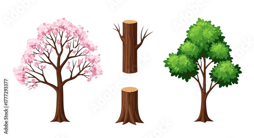 Four Illustrated Trees with Blossoms and Green Leaves in Vector Format