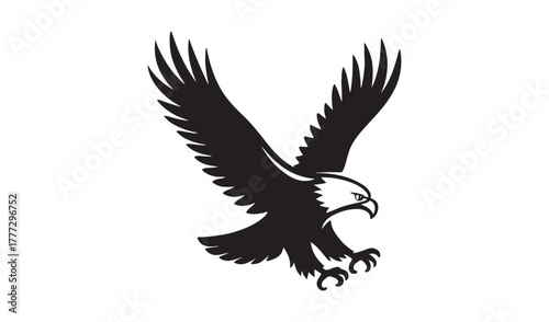 Majestic bald eagle in flight with wings spread wide