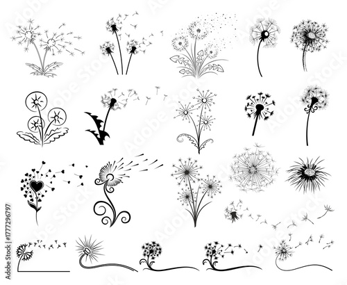 Big set of stylized dandelion logos.