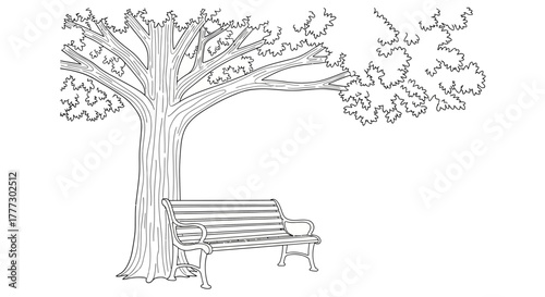 Detailed illustration of a park bench beneath the shade of a large tree capturing tranquility and