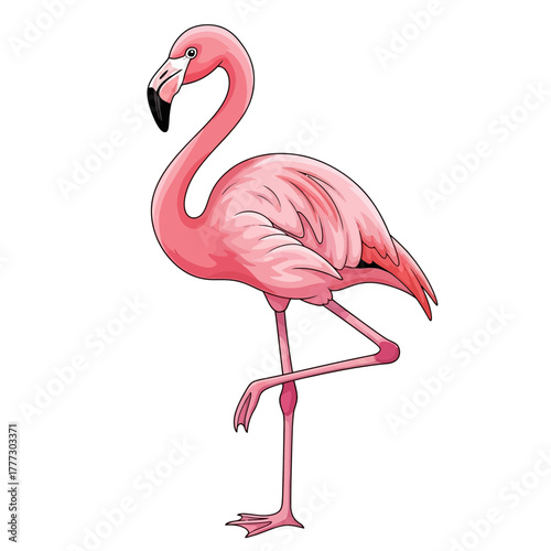 Elegant Pink Flamingo Standing Gracefully on One Leg Profile Illustration