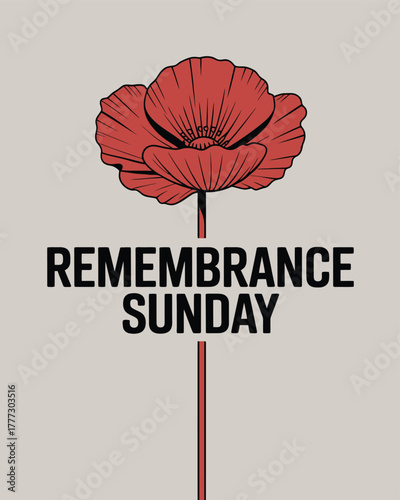 Remembrance Sunday Poppy Flower Tribute Remembrance Day
