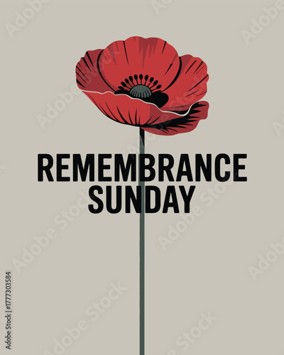 Remembrance Sunday Poppy Flower Tribute Remembrance Day