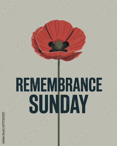 Remembrance Sunday Poppy Flower Tribute Remembrance Day