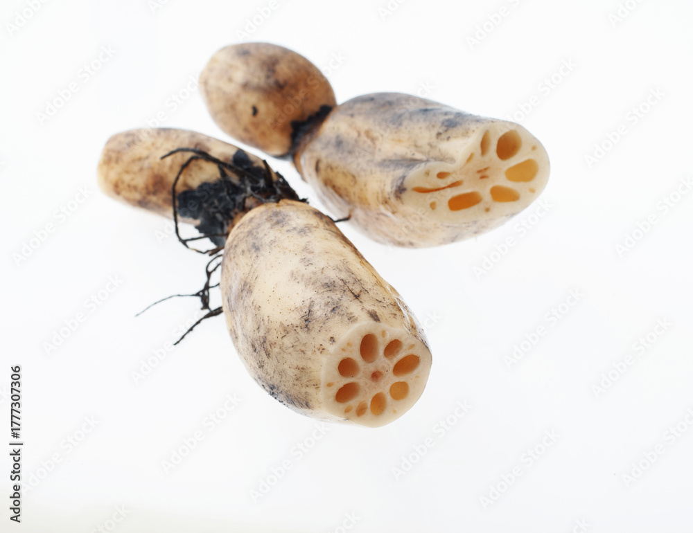 Fototapeta premium レンコン 白バック