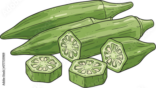 Detailed Handdrawn Fresh Green Okra Vegetable with Slices Still Life Illustration
