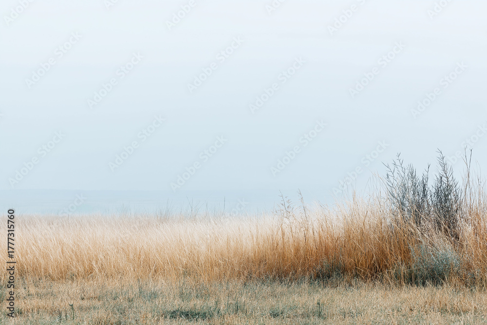 Obraz premium 静寂の原 ― 冬を待つ淡色の草原風景