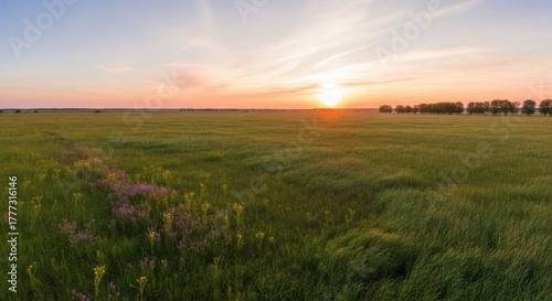 Vast grassy field with flowering border under vibrant sunset sky, trees on horizon