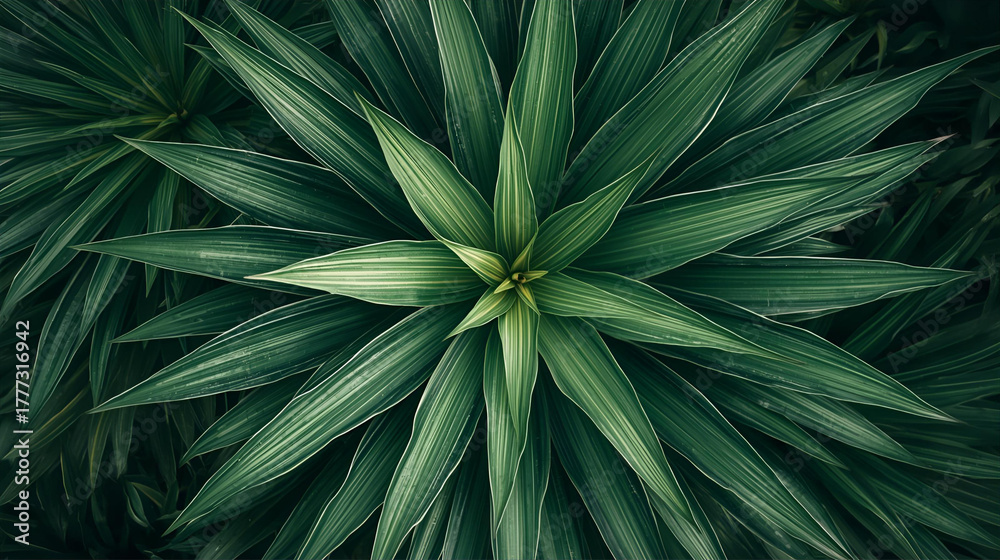 Fototapeta premium Radial pattern of layered green leaves. 