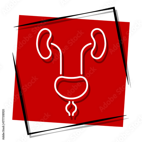 prostatitis, red banner in a frame. Vector illustration on a white background.