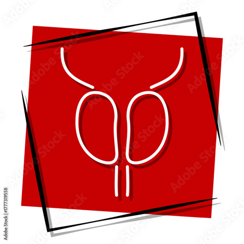 prostatitis, red banner in a frame. Vector illustration on a white background.