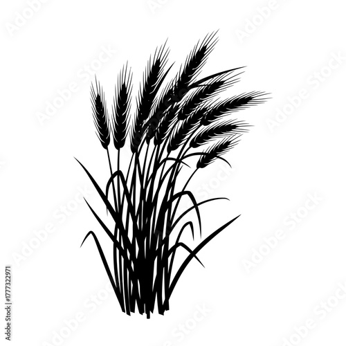 Minimalist Black and White Wheat Illustration Design Single Stalk of Cereal Grain