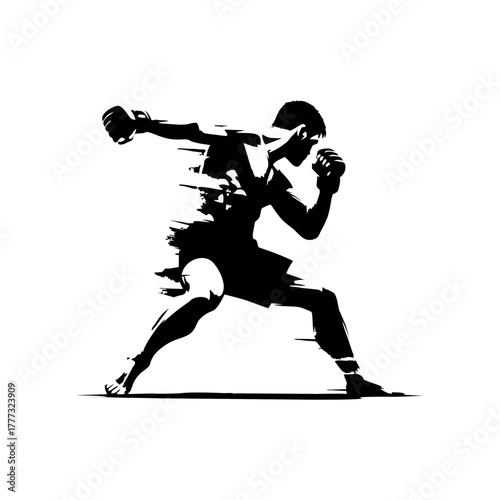 MMA fighter striking in action silhouette