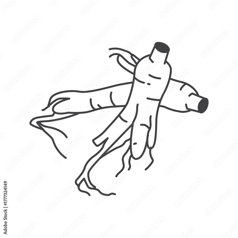 Fototapeta premium Icon of Ginseng Roots. Vector Illustration