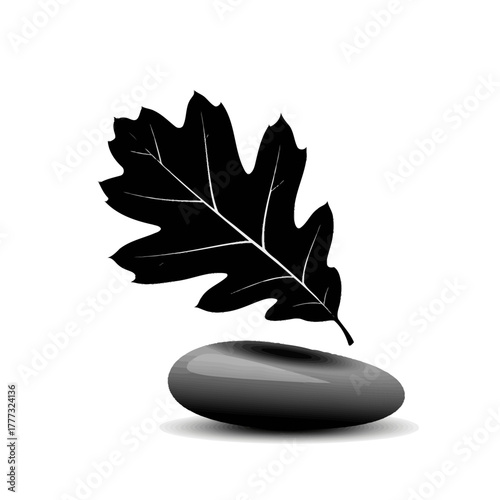 Black Leaf on a Rock Still Life Silhouette Tranquil Nature Scene Concept