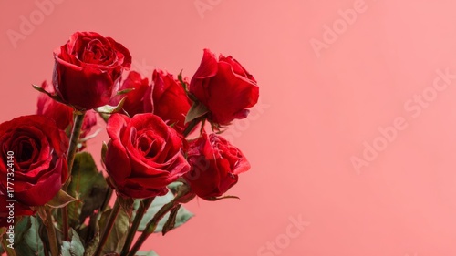 Bouquet of fresh red roses arranged on soft red pastel background for romantic valentine's day celebration, love, and anniversary greeting card designs