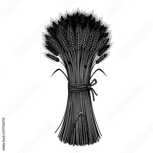 Bundled Wheat Sheaf With Ribbon Tied Around Classic Harvest Decoration Symbol