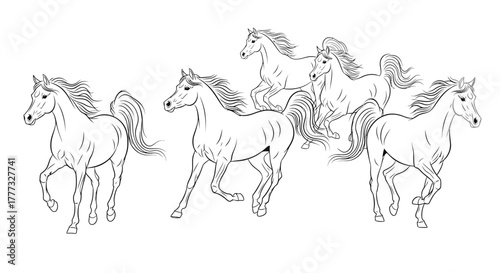 A black and white line art illustration of a herd of five beautiful horses running together on a plain background.