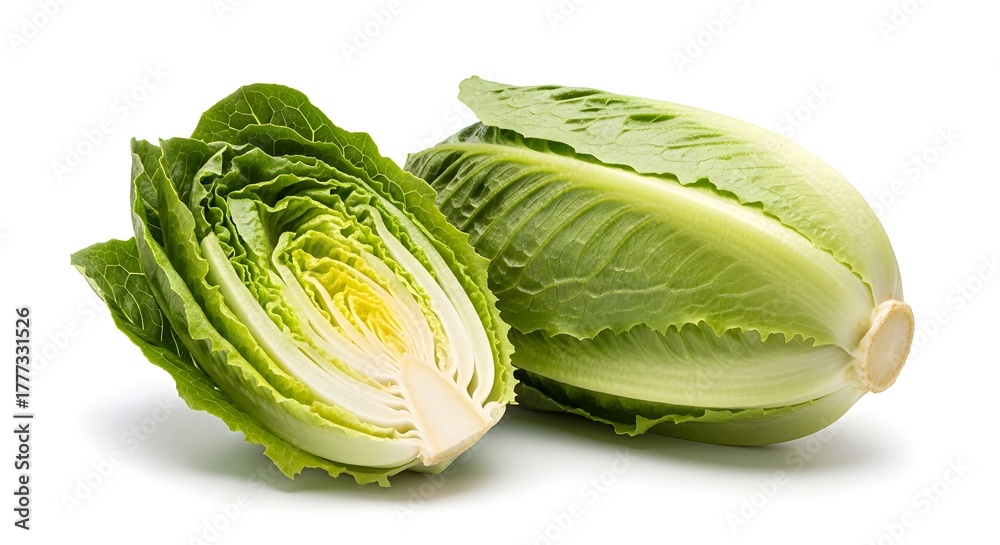 Fototapeta premium Fresh Romaine Lettuce Head and Halved Cross Section Isolated