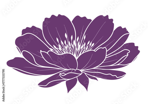 A beautiful purple flower with delicate white outlines, symbolizing elegance and nature's grace in a simple illustration