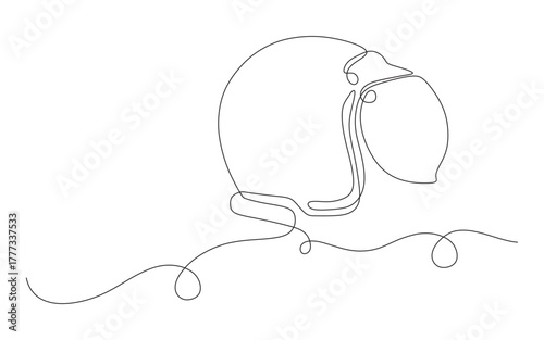 helmet continuous line