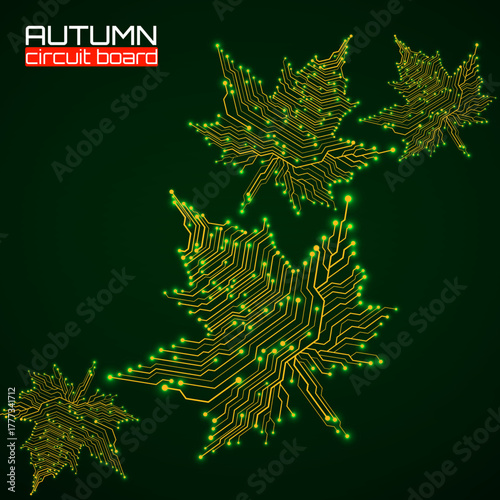 Maple leaves with circuit board, technological style for your design