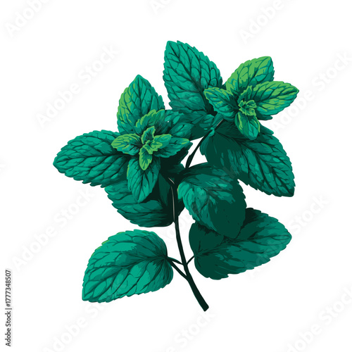 Fresh mint leaves with detailed texture in digital art style on white background, symbolizing freshness and herbal concepts