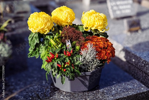 Obraz na plátně La fête de tous les saints en France