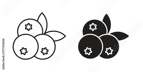 Blueberries icon with glyph and line. black vector icons for Web UI