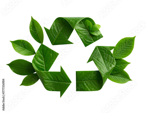 Green recycling symbol made out of leaves and elements of nature isolated on transparent background.
