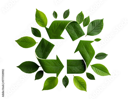 Green recycling symbol made out of leaves and elements of nature isolated on transparent background.