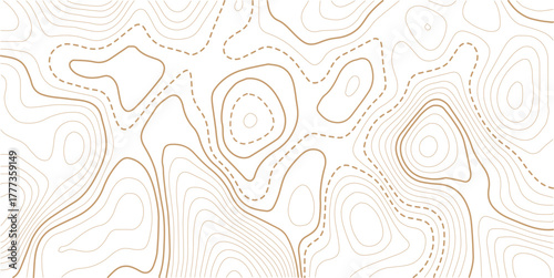 Abstract topo contour map on white background, Topographic map Topographic contour lines map seamless pattern.Geographic mountain relief. Abstract lines background. Contour maps.