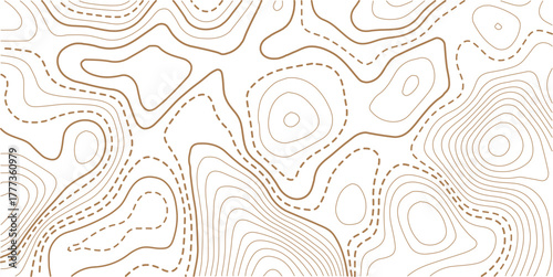 Topographic gold luxury map background. Geographic abstract pattern. The topo contour or wallpaper.Design illustration for wall art, fabric, packaging, web, banner, wallpaper.
