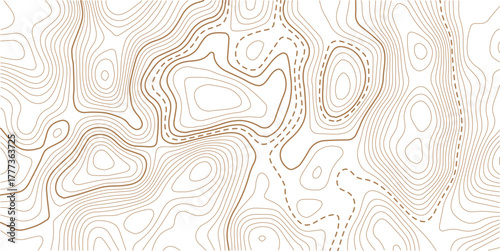 .Topographic line contour map background, geographic grid map, stock vector illustration. Geographic mountain relief diagram line wave carve pattern.