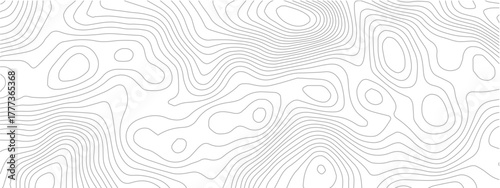 Abstract topographic map background contour map geographic grid vector illustration for cartography and terrain elevation