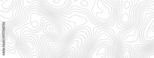 Abstract topographic map background thin gray lines on white great for presentations and geographic visualizations